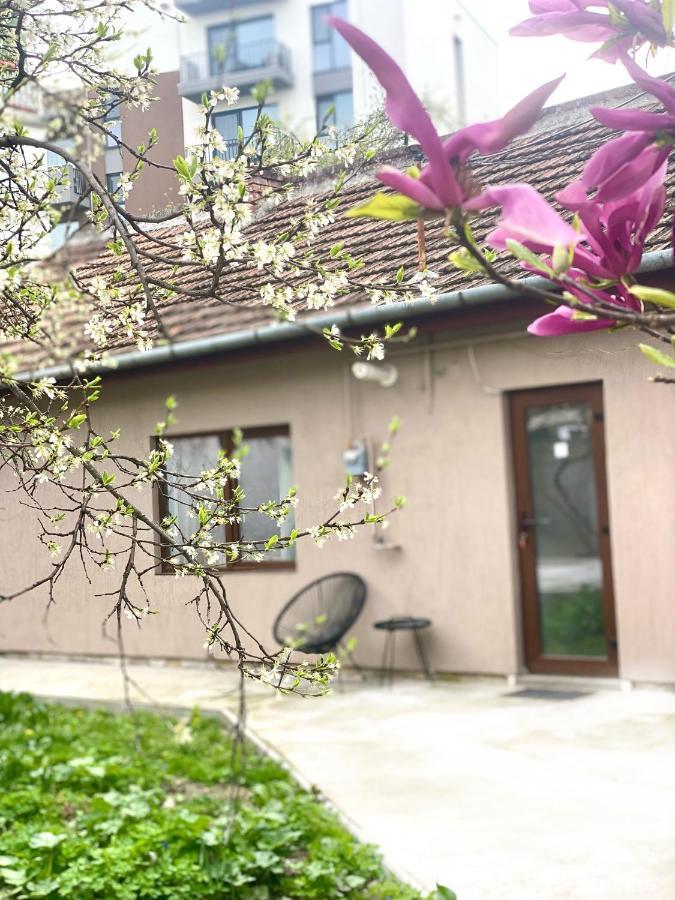 Boho Dream By Sandmar Timisoara Exterior photo